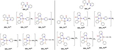 Effect of palladium(II) complexes on NorA efflux pump inhibition and resensitization of fluoroquinolone-resistant Staphylococcus aureus: in vitro and in silico approach